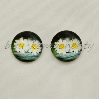Kopretiny, 12 mm