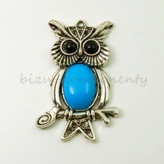 Sova s modrým bříškem